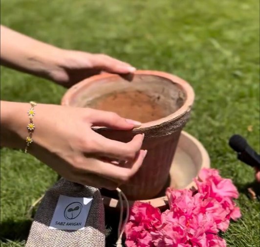Hands placing a terracotta pot on the grass beside a Sabz Aangan seed pouch